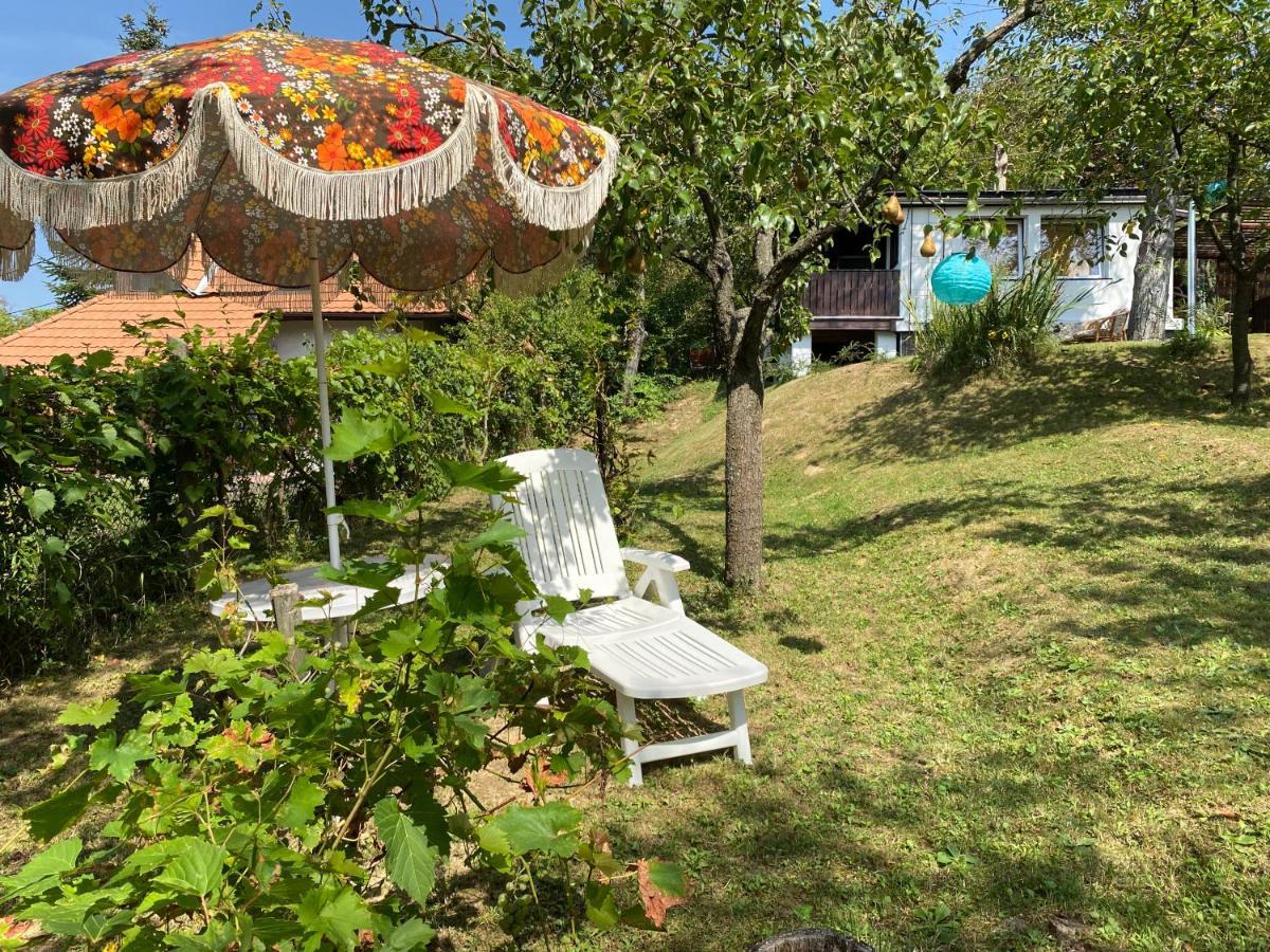 Szegfu33 Vendeghaz *
