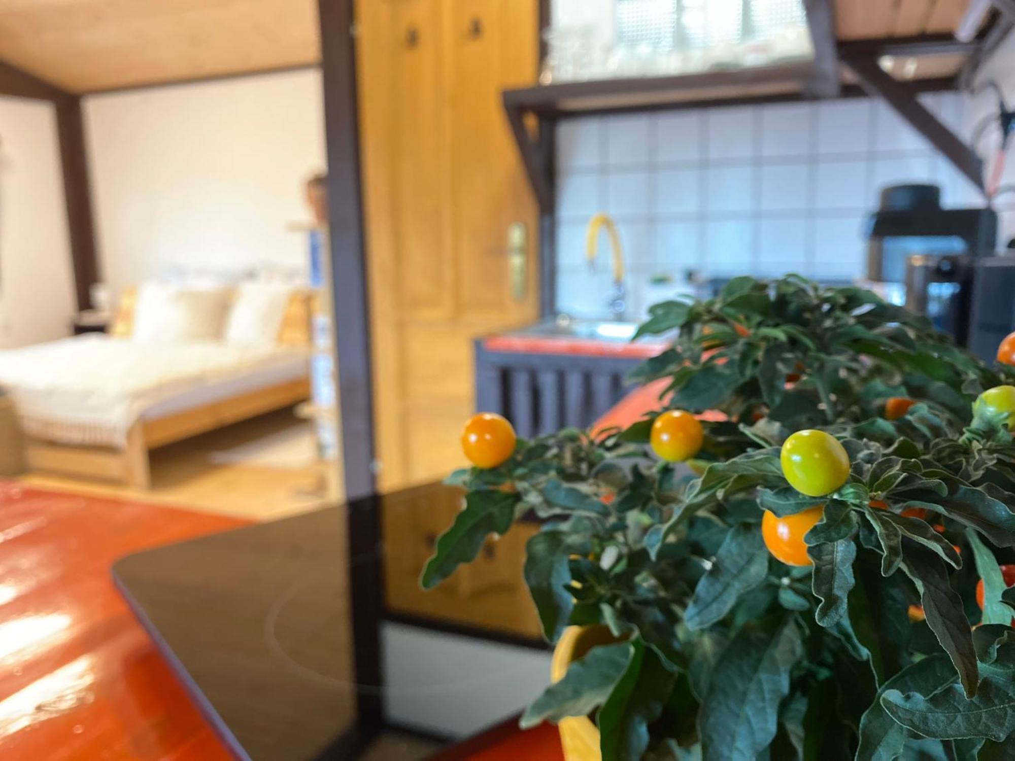 Apartment Szegfu33 Vendeghaz *